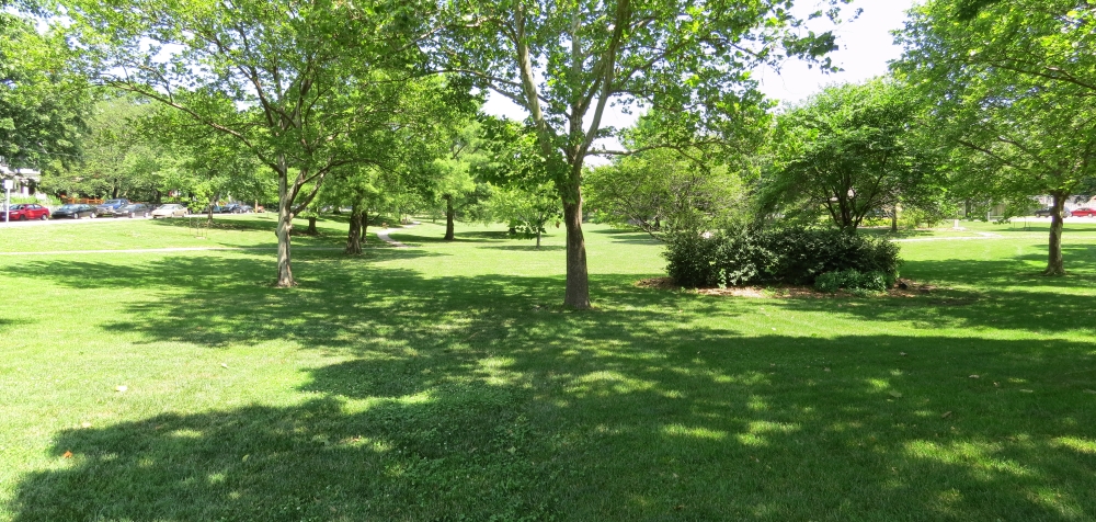 Looking north into Watson Park from the Ravine tour stop location